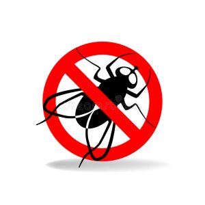 Anti insectes